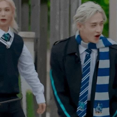 Stray Kids Chris GIF