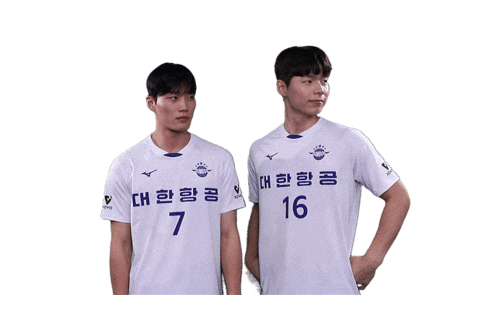 Jumbos Koreanair Sticker by kal_jbos