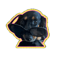 Bobinette Sticker