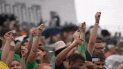 Football GIF by RiverHawk Sports
