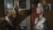 Harley Quinn Bop GIF by Birds Of Prey