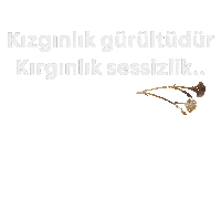 Sessiz Sticker