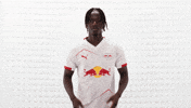 Rb Leipzig Kiss GIF by Bundesliga