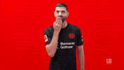 Bayer Leverkusen Kiss GIF by Bundesliga