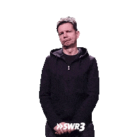 Thinking Think Sticker by SWR3