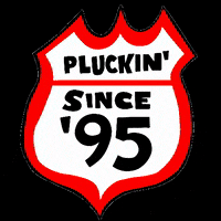 fried chicken GIF by Pluckers