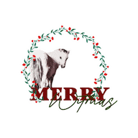 Witequestrian Sticker by WIT Equestrian Clothing Co.