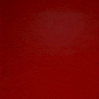 Chris Lemons GIF by Texas Tech Football