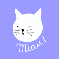 Cat Kitty GIF by RainToMe