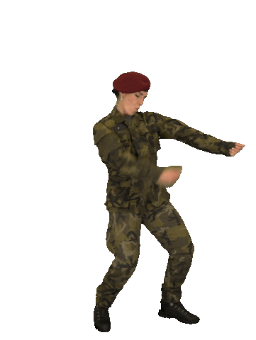 armadaceskerepubliky giphyupload celebrating army airguitar Sticker