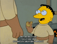 Season 1 GIF by The Simpsons