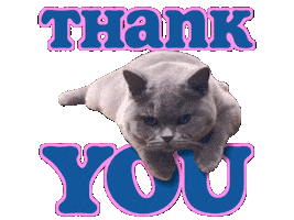 Thank U Sticker by Travis