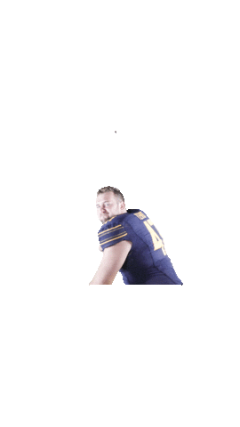 Celebrate Lets Go Sticker by Cal Athletics