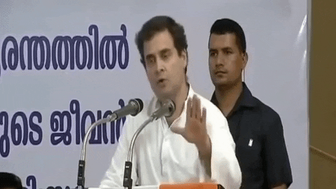 mannatchawla giphygifmaker rahul gandhi GIF