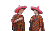 Party Mexico Sticker by Papa Fuego