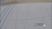 Tampa Bay Rays Baseball GIF by MLB