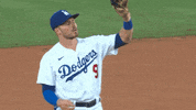 Major League Baseball Sport GIF by MLB