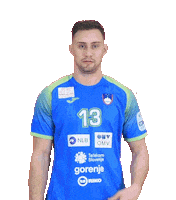 Handball Euro Sticker by Rokometna zveza