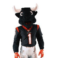 Get Loud Football Sticker by Houston Texans