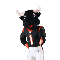 Get Loud Football Sticker by Houston Texans