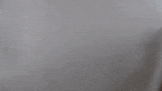 Wheelingu GIF by WU Cardinals