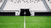 Black Eagle GIF by Besiktas JK