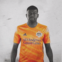 El Presidente Yes GIF by Houston Dynamo