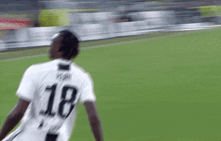 GIF by JuventusFC