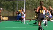 hawks GIF by University of Iowa Hawkeyes Athletics