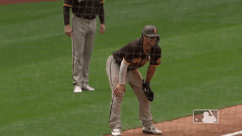 Major League Baseball Smile GIF by San Diego Padres