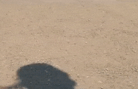 Marrow GIF by St. Vincent