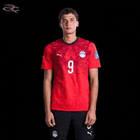 Fifa World Cup Egypt GIF by Respective
