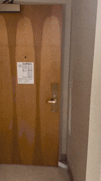 Dormfoolery dormfoolery dorm foolery GIF
