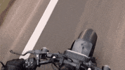 Ride GIF by Harley-Davidson