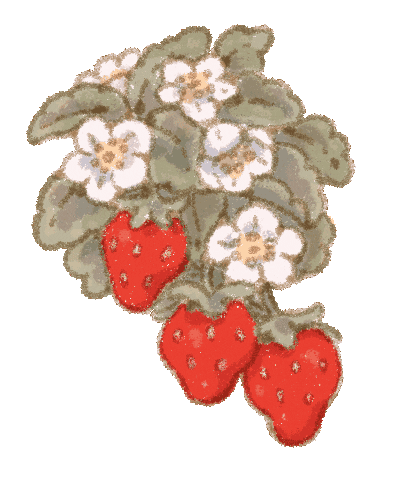 Strawberry Wobble Sticker