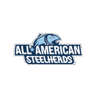 Sticker by All American Baseball