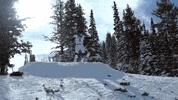 bigblue GIF by Utah State University