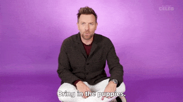 Ewan Mcgregor Puppies GIF by BuzzFeed