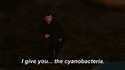 Neil Degrasse Tyson Cyanobacteria GIF by cosmosontv