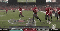 Tampa Bay Buccaneers Football GIF by NFL