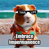 Wisdom GIF by Guinea Gambino