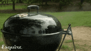 bbq grill GIF by Esquire