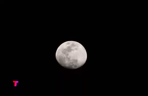 luna GIF