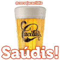 grupopetropolis bar festa saúde cerveja Sticker