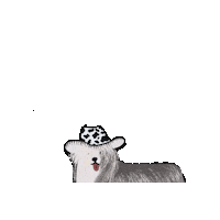 Doggie Mypet Sticker
