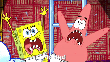season 9 GIF by SpongeBob SquarePants