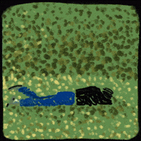 Hill Rolling Down GIF by Yin Wrong