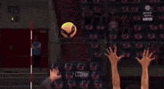Volleyball Italia GIF