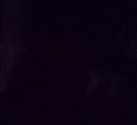 Lele GIF by Pipescope