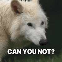 Stop No GIF by Colossal